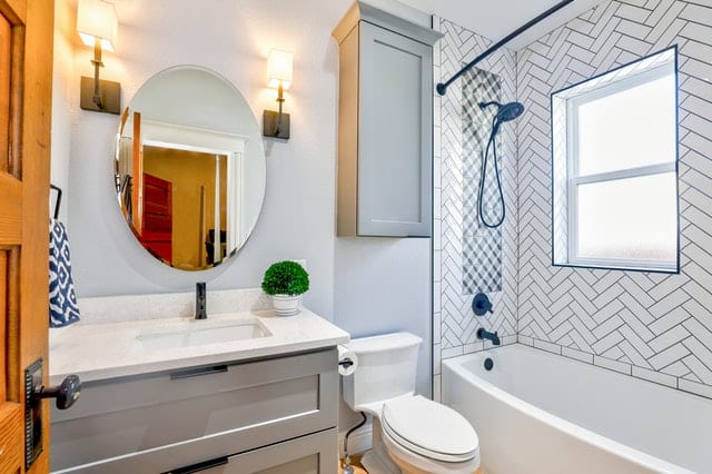 Toilet Designs single- or dual-flush